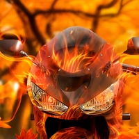 Moto Bike